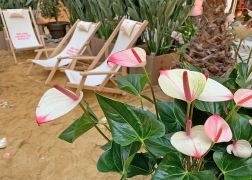 Fruehling In Der Goethe Galerie Jena 000012